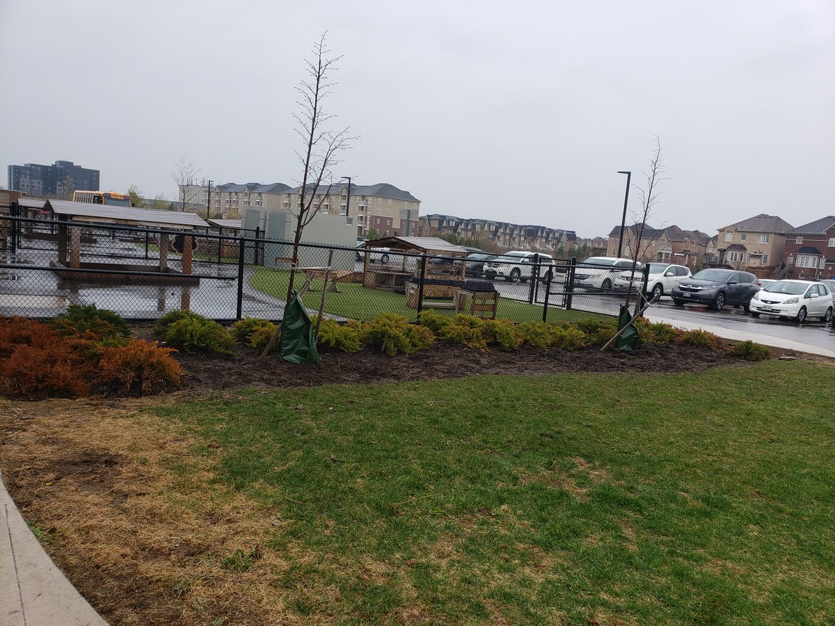 École élémentaire Dyane-Adam tweet media