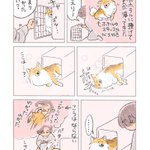 反応が素っ気ない･･･!ペットホテルから自宅へ帰ってきたときの飼い犬の様子を描いた漫画が話題に!