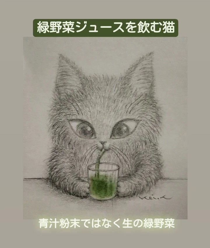 Kei 鉛筆画 ネコ ねこ 猫絵 イラスト Cat Catart Catillustration Pencildrawing T Co Kt1n1lsfht Twitter