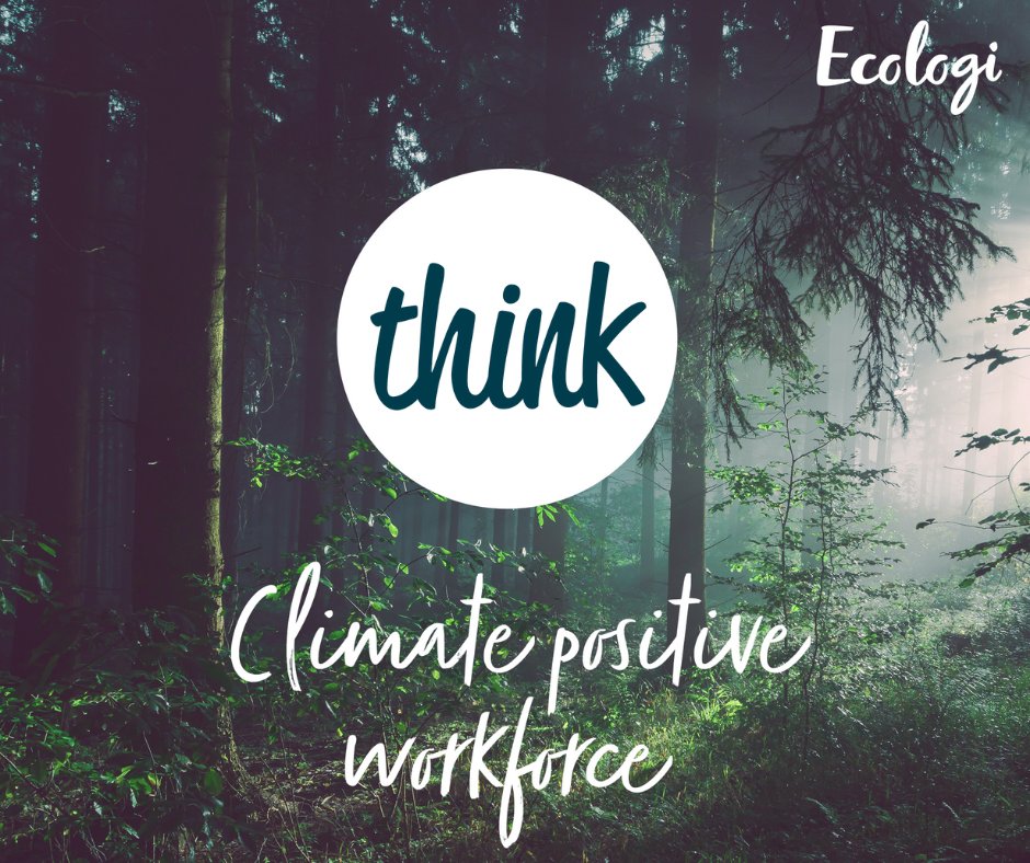 thinkdp's tweet image. #Think_DP have 58 tress in our forest and have so far offset 3.53 tonnes of CO2e through our partnership with #Ecologi_HQ. 
Read more at ecologi.com/thinkdp
Together we can reduce our carbon footprint
01926 743150 info@thinkdesignandprint.com
