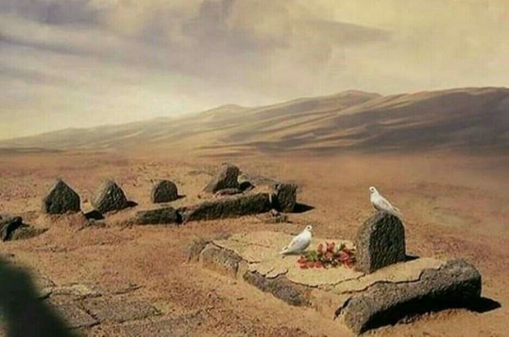 Hasanein_A's tweet photo. يا صاحب الزمان 
#بناء_البقيع_مطلبنا https://t.co/z77qfBRtqz
