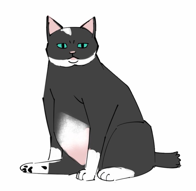 Fatのtwitterイラスト検索結果