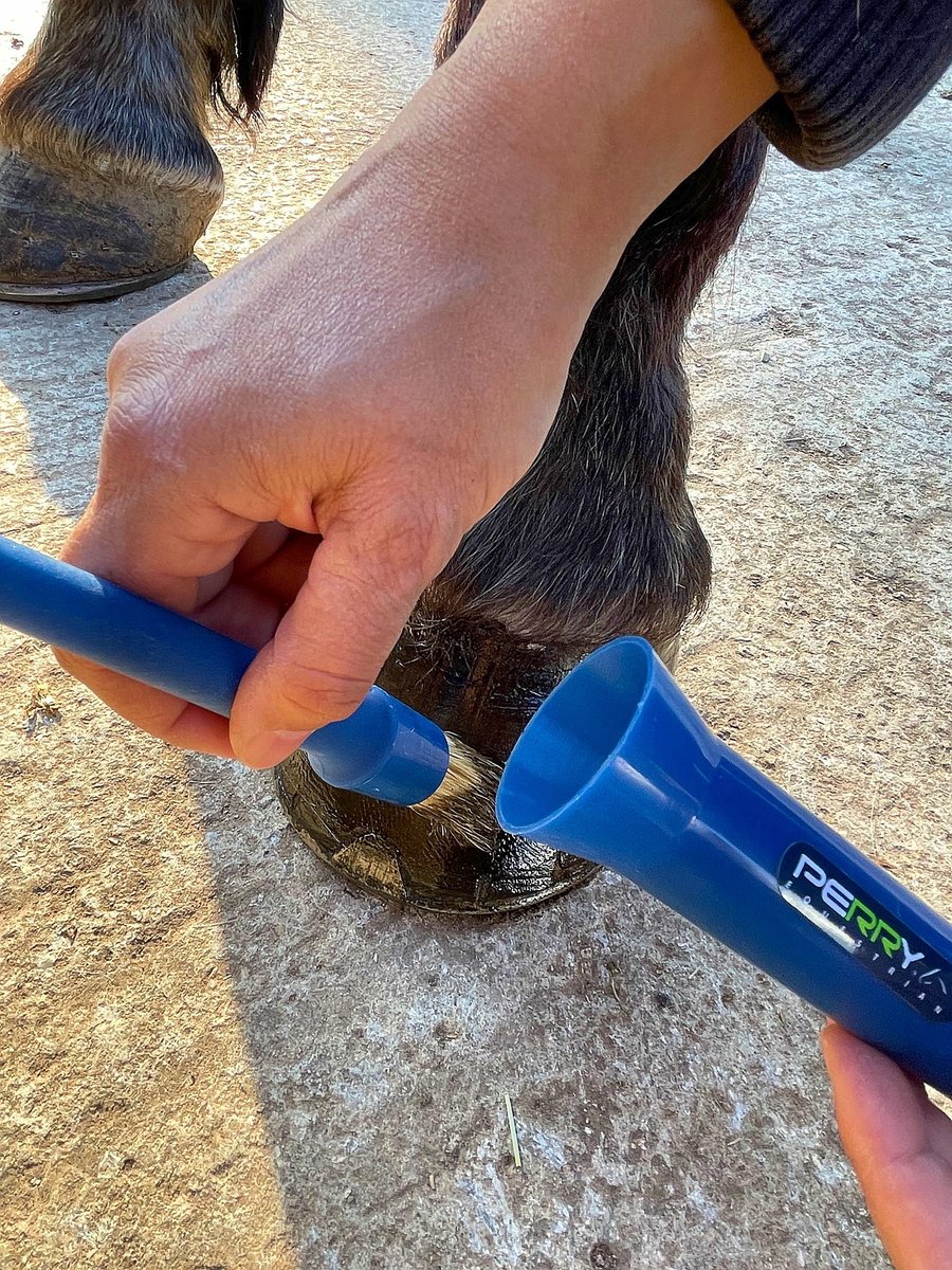 PerryEquestrian's tweet photo. Hoof Oil Brush and Cap 🐴
Simple but effective, perfect for applying oil to the hoof and available in 7 colours 🌈
#equestrianessentials #perryequestrian #matchymatchy #hoofcare https://t.co/TG4OpHm8Ab