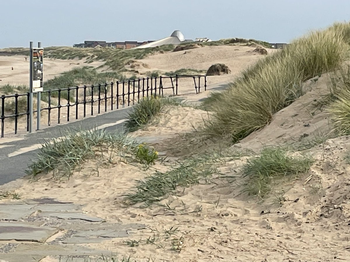 Færder (@faerder46) on Twitter photo Buoys & Signs on the morning walk <a href="/CrosbyLakeside/">Crosby Lakeside</a> <a href="/CrosbyBubble/">Crosby Bubble</a> <a href="/CrosbyBeachFOG/">FriendsOfCrosbyBeach</a> <a href="/L22_Waterloo/">Waterloo Community</a> #crosby #waterloo #marina #beach Buoys & Signs on the morning walk <a href="/CrosbyLakeside/">Crosby Lakeside</a> <a href="/CrosbyBubble/">Crosby Bubble</a> <a href="/CrosbyBeachFOG/">FriendsOfCrosbyBeach</a> <a href="/L22_Waterloo/">Waterloo Community</a> #crosby #waterloo #marina #beach