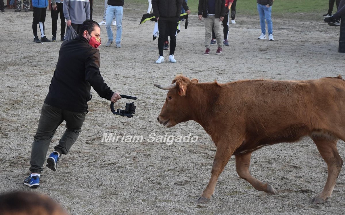 Sentir Taurino tweet media