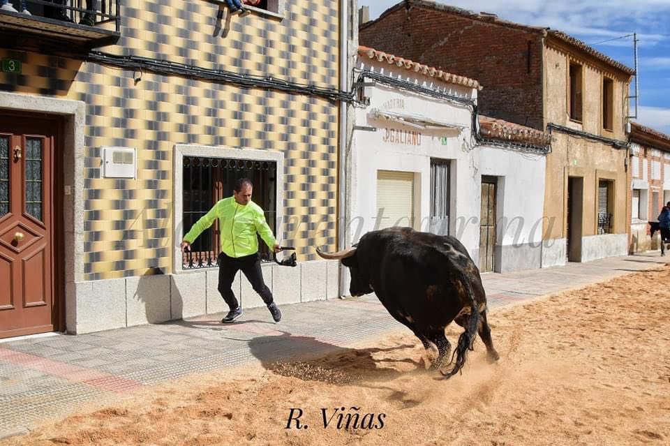 Desde Sentir Taurino enviamos fuerza y ánimo a Javi Ramos, cámara de De la Risa a la Tragedia, que ayer sufrió dos cornadas, una en cada pierna, en el festejo de Puebla de Argeme. Fue intervenido en el hospital Ciudad de Coria y está estable.
Le deseamos pronta recuperación.