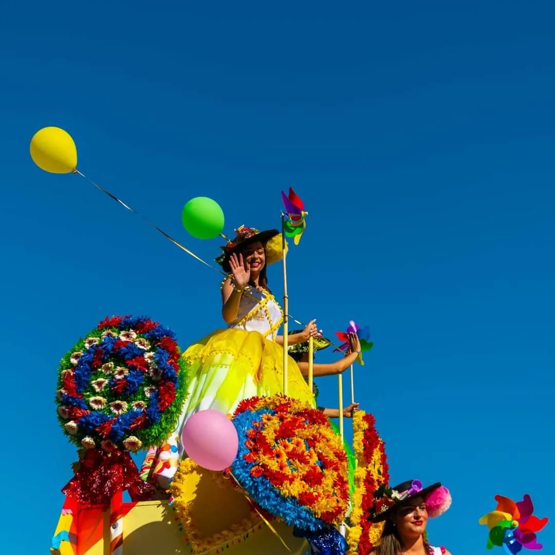Alannette Photography tweet media