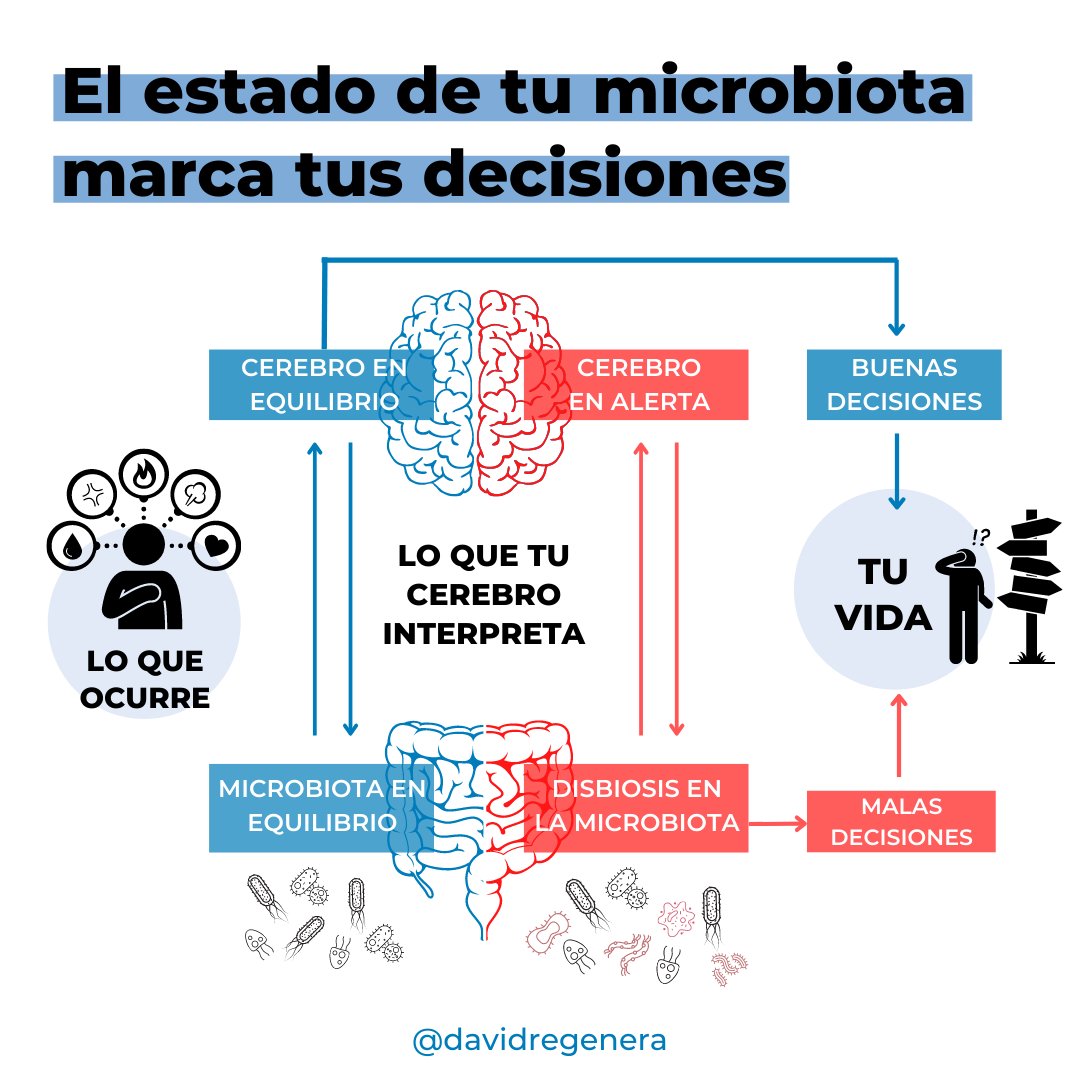 Tu forma de ver el mundo tiene varios filtros… Y uno de ellos es el estado de tu #microbiota.

En función de ello, tu interpretación de los estímulos externos o de los acontecimientos de tu vida puede cambiar… Y también la forma en la que tomas tus decisiones🧠