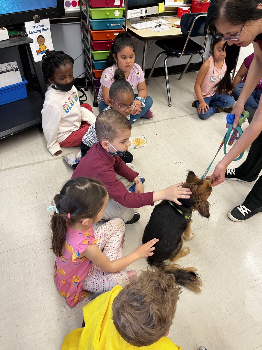 Juno76Q's tweet photo. I had a meet and greet with Kindergarten. Training was so much fun and guess who got extra treats!🦴🦴 https://t.co/SIIBWjXNKH