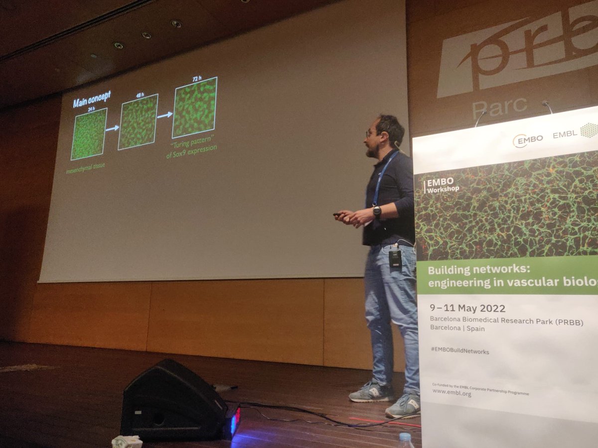 EMBL Barcelona (@emblbarcelona) on Twitter photo Live from #EMBOBuildNetworks
<a href="/giodalmasso/">Giovanni Dalmasso</a> gives a talk on the interplay between Sox9 and endothelial cells in vasculature formation Live from #EMBOBuildNetworks
<a href="/giodalmasso/">Giovanni Dalmasso</a> gives a talk on the interplay between Sox9 and endothelial cells in vasculature formation