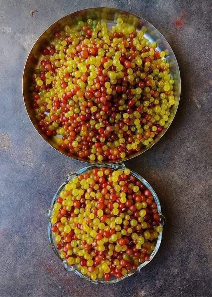HarishLakhani72's tweet photo. تھرپارکر کی میوات پیروں ....
#peelo #Peroon #dawndotcom #etribune #dawnnewstv #travelbeautifulpakistan #destinationpakistan #mobilephotography #travelphotography #igpakistan #ig_pakistan https://t.co/90c8KdgxMI