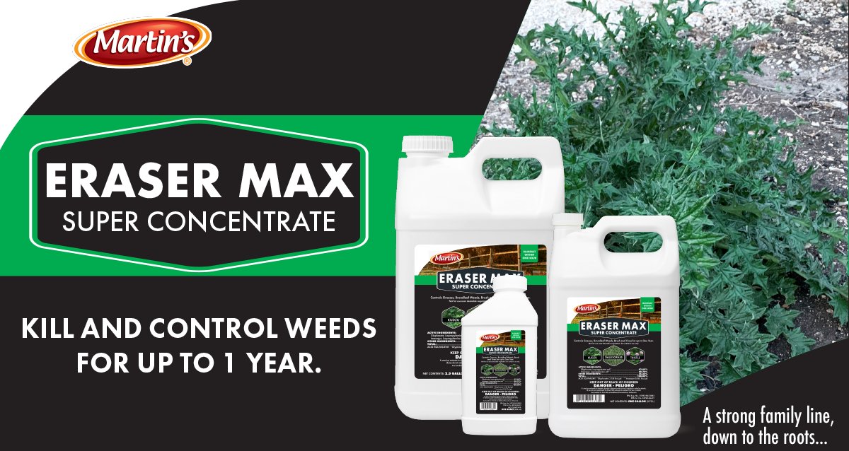 MartinsBrand's tweet photo. Erase unsightly weeds from sidewalks and driveways in one application with Eraser Max super concentrate.
#RangeandPasture #WeedKiller #EraseWeeds
LEARN MORE HERE >> https://t.co/2XIgVwFSQN https://t.co/ROPYOcHFjT