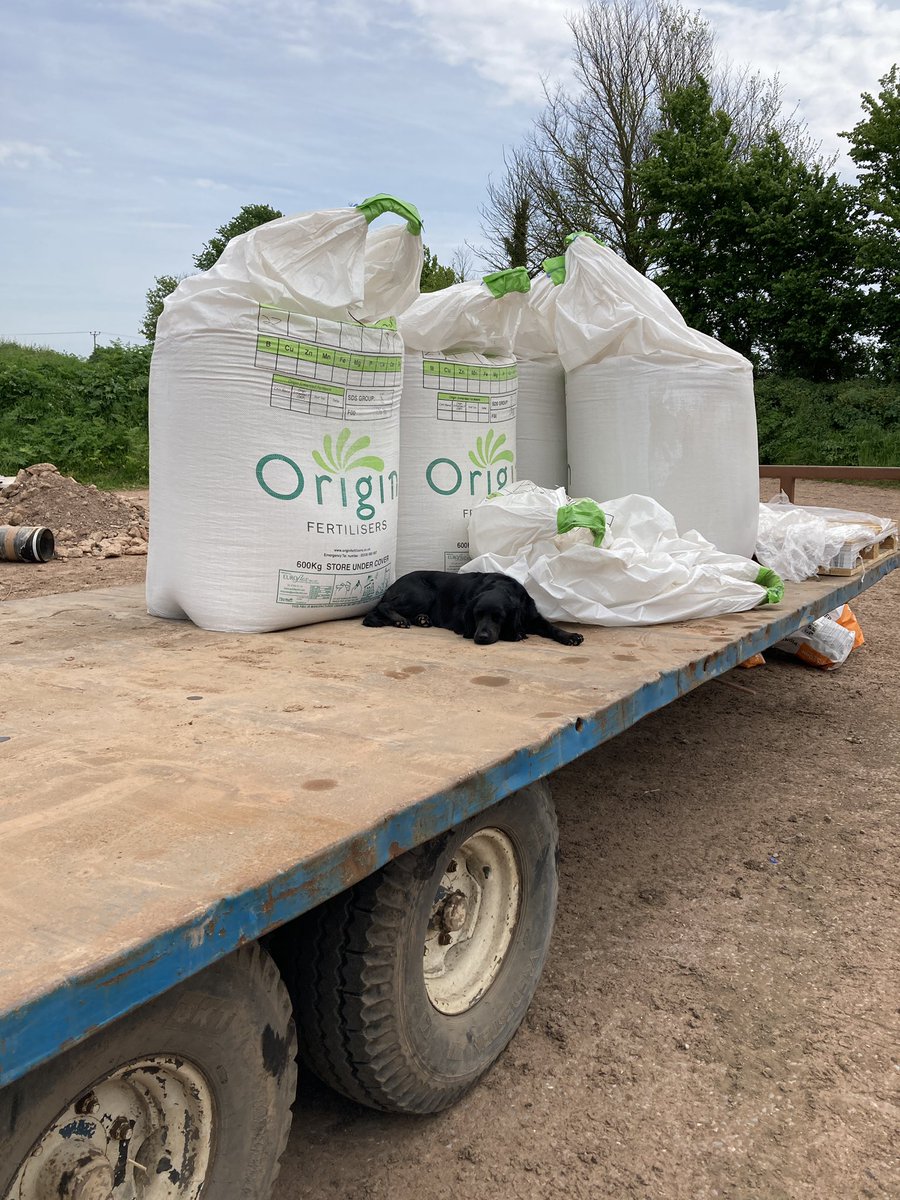 ChanterTom's tweet image. Even the dog is exhausted by escalating farm inputs…