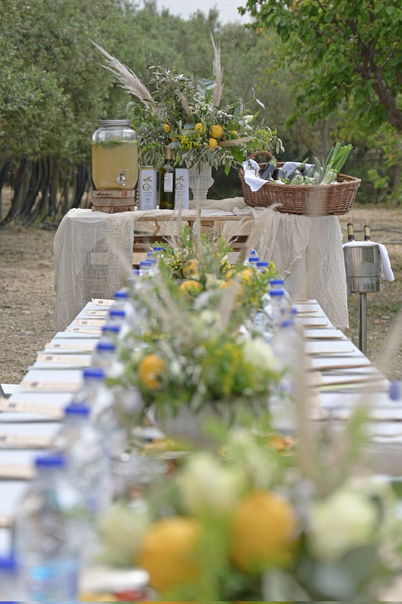 TUI BLUE Oceanis Beach tweet media