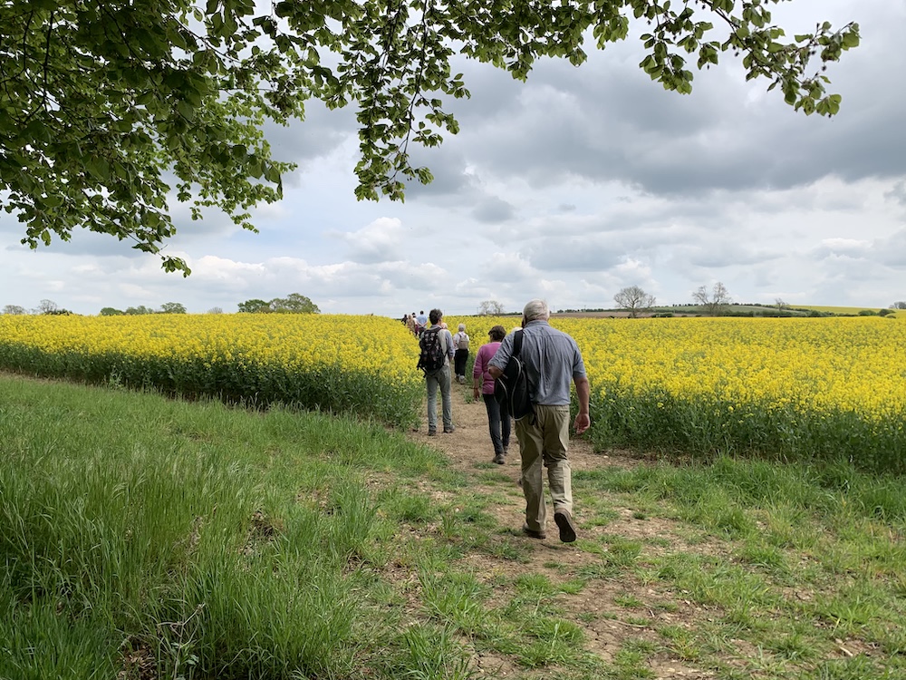 Purple Robot Marketing tweet media