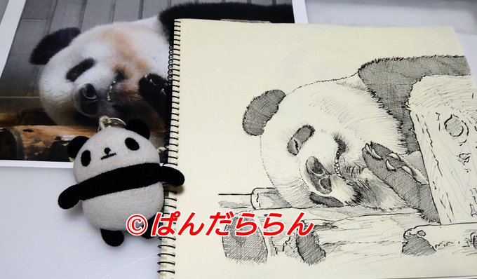 上野動物園のtwitterイラスト検索結果 古い順