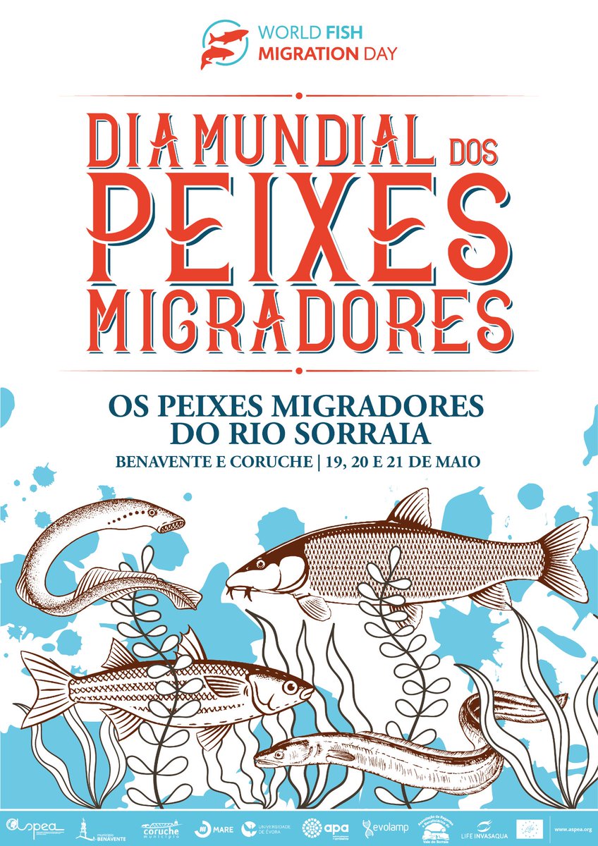 CarlosMAlexand's tweet photo. Join us on the next 19-21st of May, to help us celebrate the 2022 World Fish Migration Day, by putting River Sorraia on the route for migratory fish @univdeevora @MARE_centre @ASPEA2 @fishmigration #Coruche #Benavente #ARBVS @LifeInvasaqua #evolamp https://t.co/y9C0U1hPt0