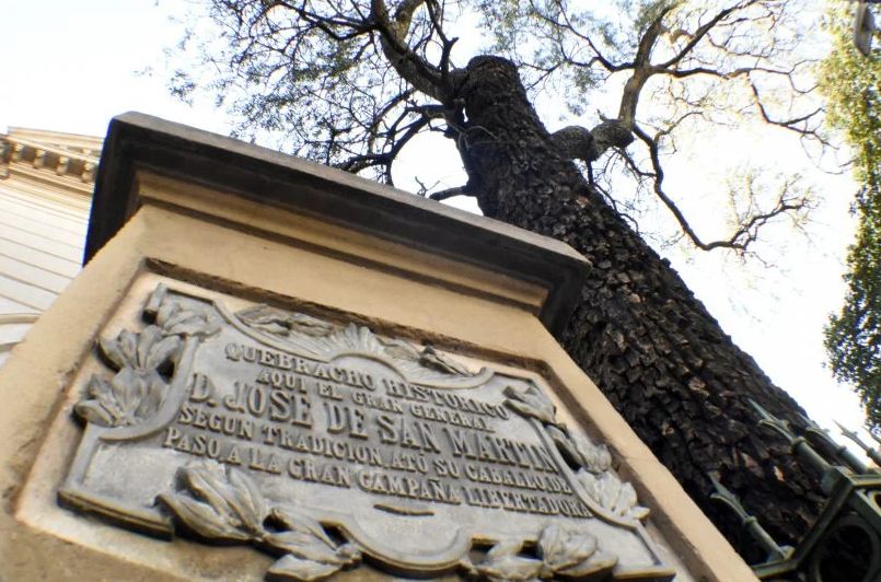 La Universidad a través de su <a href="/fqbf_unsl/">FQBF -UNSL</a> trabajó en diversas comisiones del Honorable Concejo Deliberante para lograr declarar patrimonio cultural al “Quebracho Histórico”, ubicado en el inmueble donde se erige la Catedral.

Nota: bit.ly/3slOEuh