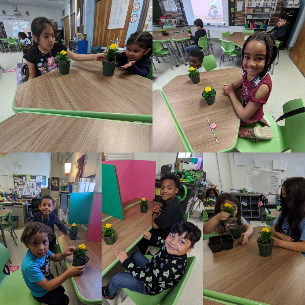 Working together with 3rd grade on our Mother's Day Flowers during our Gardening Study <a href="/BonnieBaity1/">Bonnie A Baity</a> <a href="/conforti_blythe/">Blythe Conforti</a> <a href="/TheaJackson8/">Thea M Jackson-Byers</a> <a href="/DrRaShawnAdams/">Dr. RaShawn M. Adams</a> @LBensonAPSD <a href="/tiffanysorto0/">Tiffany Sorto</a> <a href="/Antonel1Shannon/">Shannon Antonelli</a>