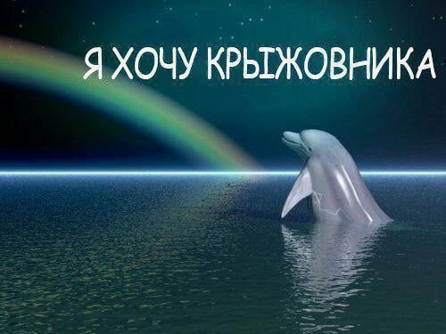 RussianMemesLtd tweet picture