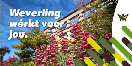 Weverling BV tweet media