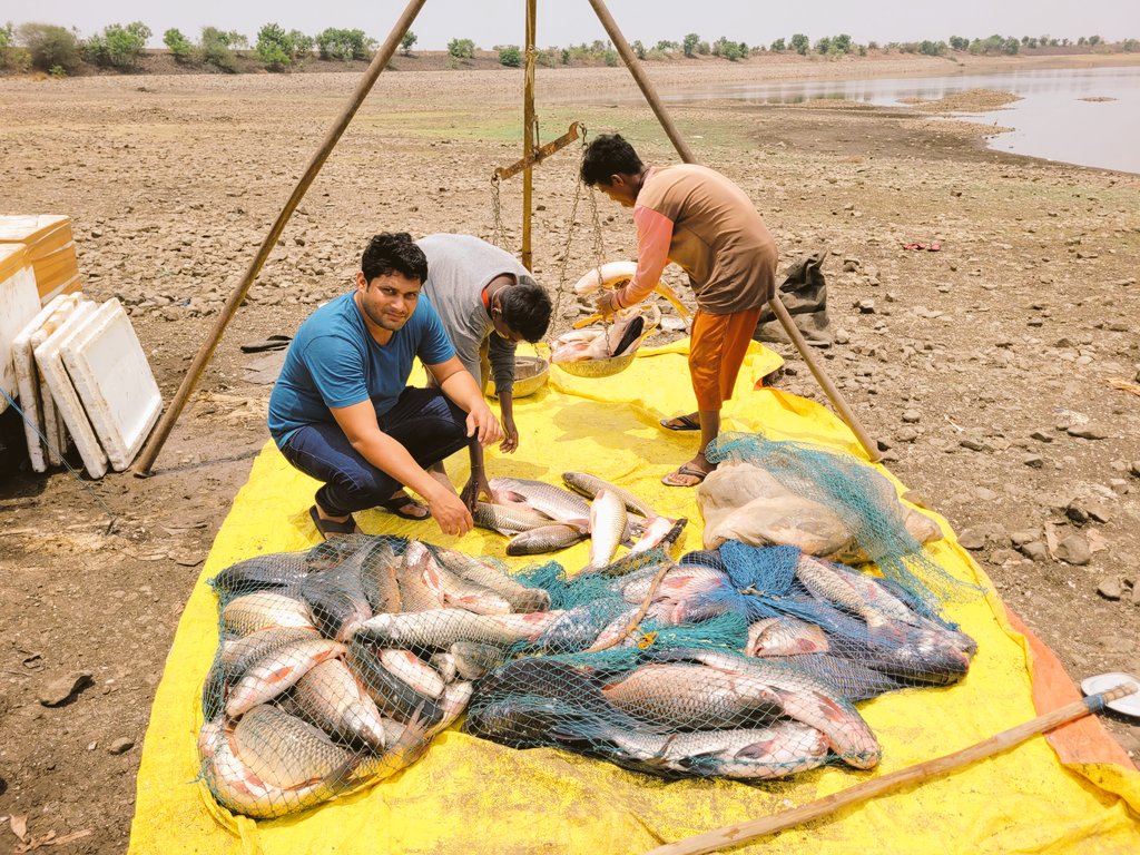 shareinvestgrow's tweet photo. A week #Break from #Job and #Market
#BikeRide in hot 🔥 Summer ☀️
#Vidharbh
#Marathwada
#Fish #Maral, #Katla, #Rohu, #Mrigal https://t.co/ljNB4yOcTi