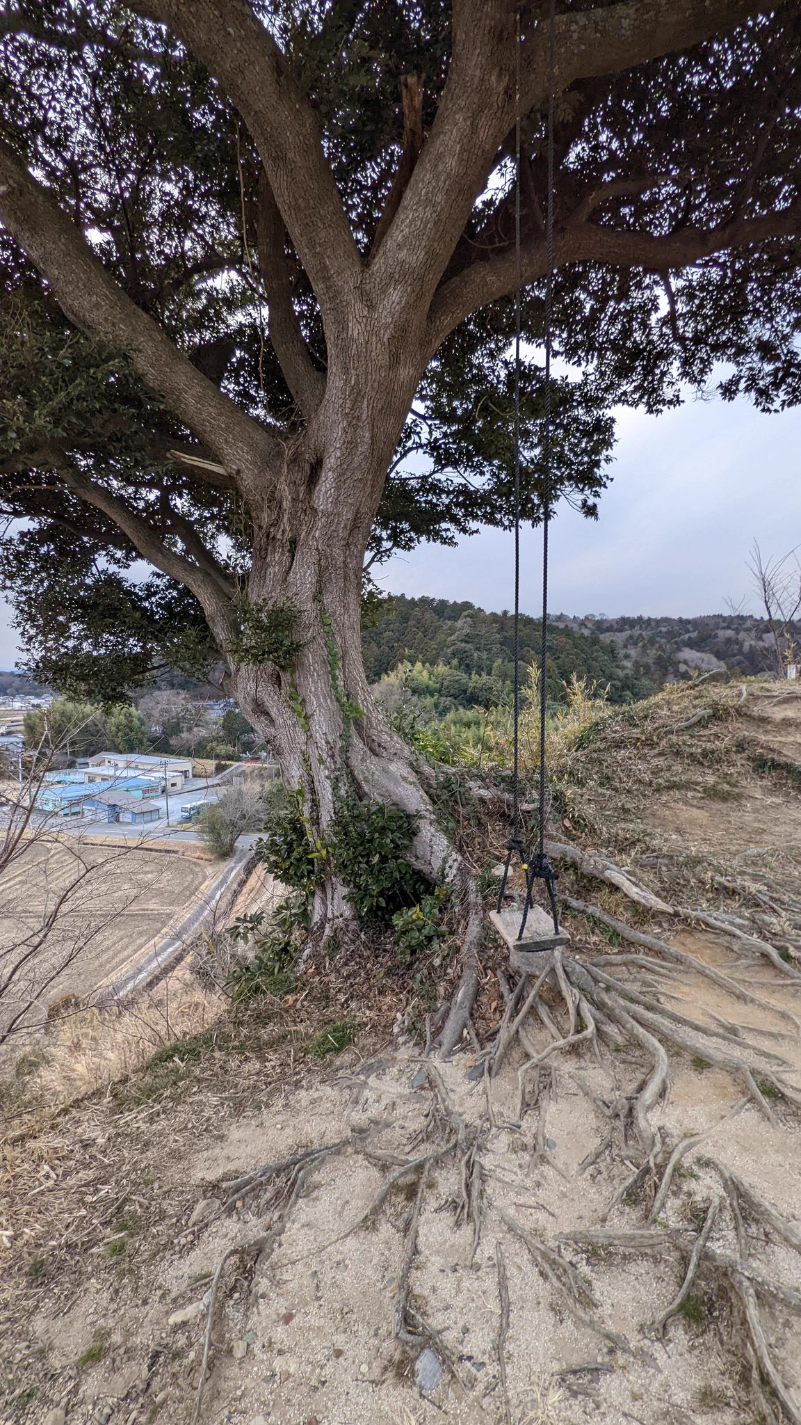 @ak_o114 福島県いわき市にもあるよ。
#ハイジ にも #フラ・フラガール にもなれる。（実際には怖くて乗れないｗ） 