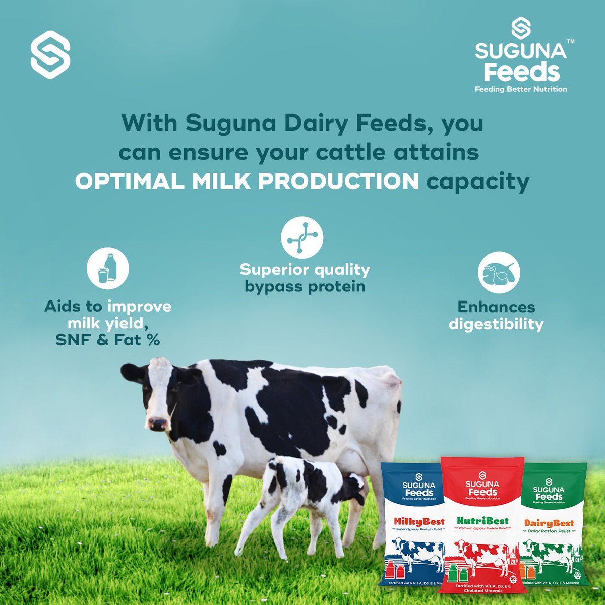 Suguna_Foods's tweet photo. With Suguna Dairy Feeds, you can ensure your cattle attains optimal milk production capacity and perfect health. Try Suguna Dairy Feed today for your beloved cattle.

#SugunaFoods #SugunaFeeds #CattleFeeds #CattleFeed #LivestockFeed #Feeds #PoultryFeeds #CattleFarming https://t.co/Uip9LGUGbw