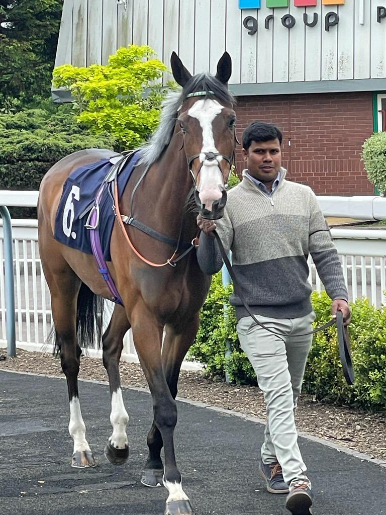 AmyScott22's tweet photo. 🦄 WINNER🦄 FOUR FEET, one of the yards favourites!! Gets up to win under a super ride from Dane!! Go footy !!!!  Couldn’t be happier to see him get his head in front!! #HenryCandy. #WINNER https://t.co/hhswM8Dw8I