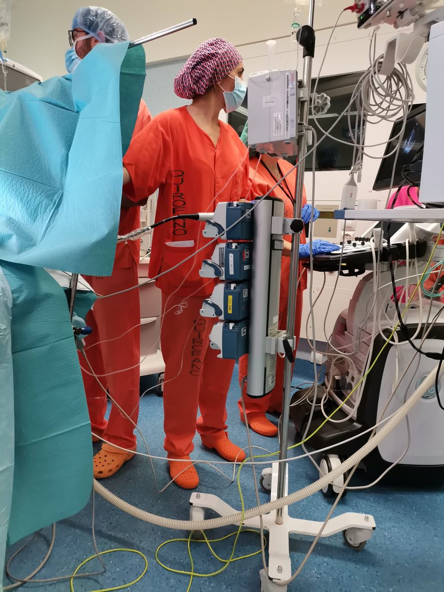 YolandaRicRam's tweet photo. Primeras semanas en #CCA 
Seguimos aprendiendo 💪🏽💪🏽 @CAR_SonEspases https://t.co/BIYUFksD5L