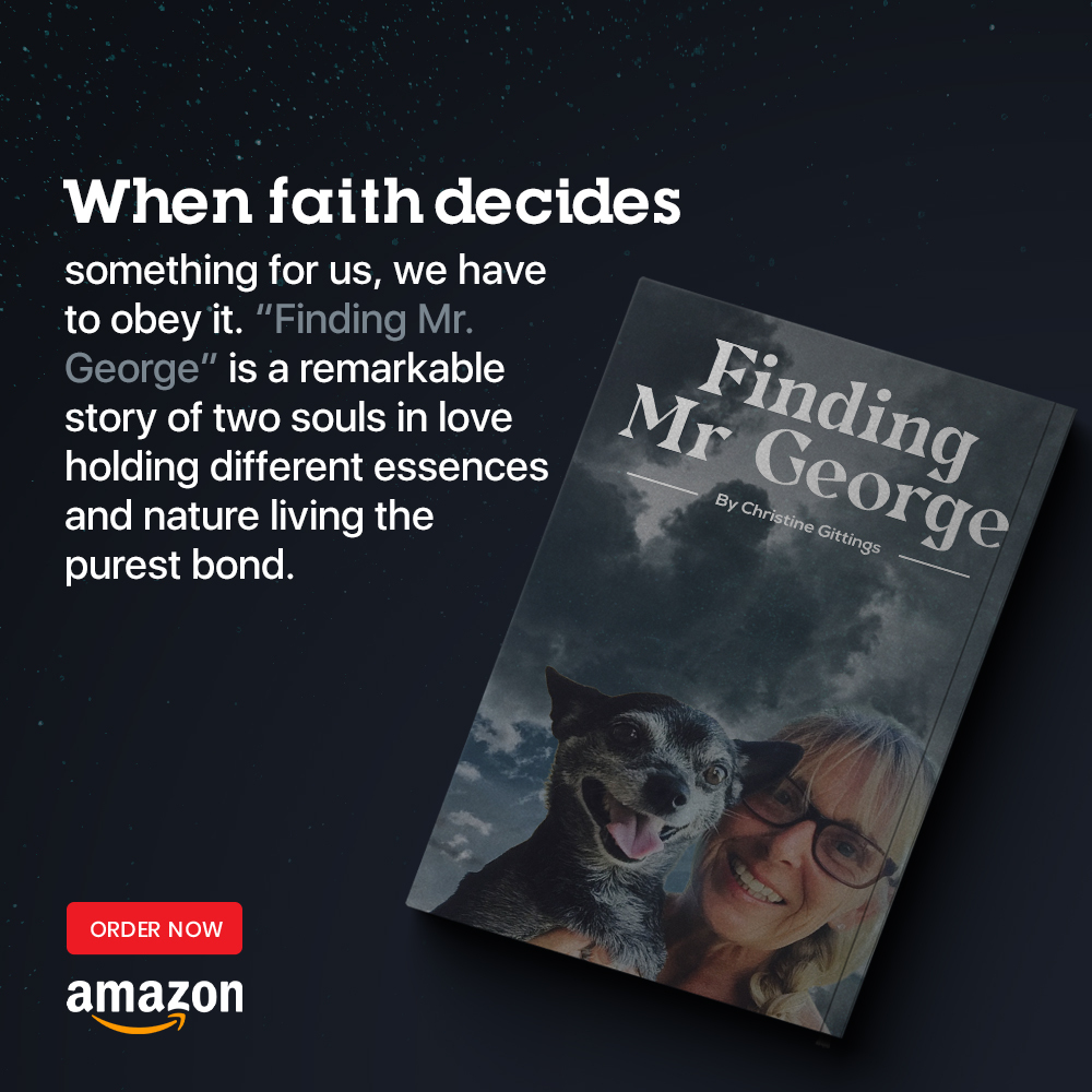 Finding Mr George tweet media