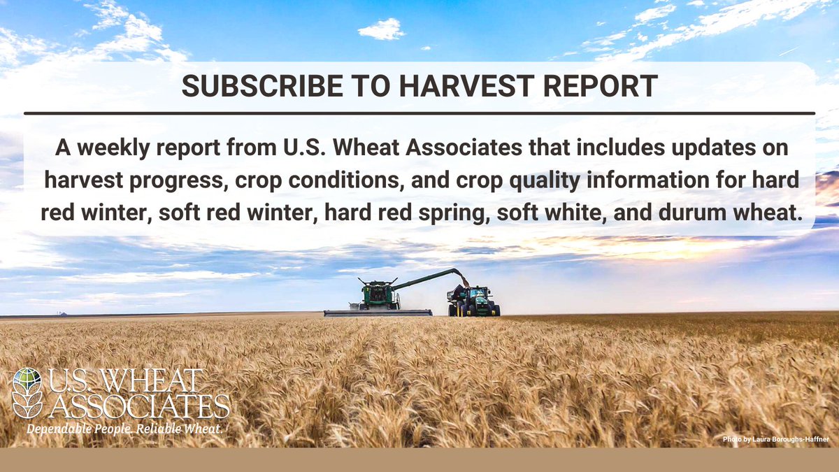 US Wheat Associates tweet media