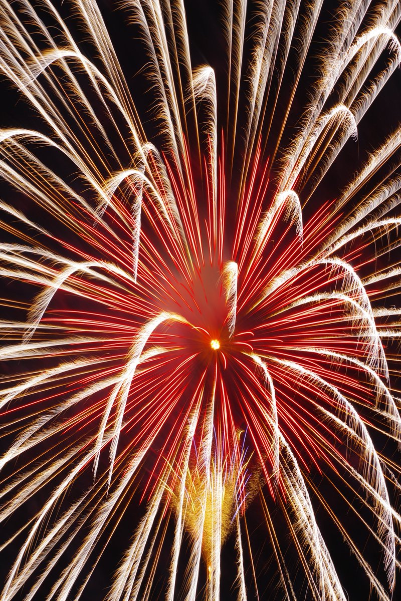e17071's tweet photo. 2022.5.8 秋田県大仙市大曲 にて。
#FireworksforPeace
5号玉
・紅芯銀冠(#髙橋煙火)
・(#太洋花火)
・錦先彩色点滅(#伊那火工堀内煙火店)
・萌し(#ワキノアートファクトリー)
35mm換算で166mm撮影。
ノートリミングです笑
#大曲の花火
#fireworks4peace
#pentaxk3mkiii
#pentax_da55300plm https://t.co/M9FNTrxdRL