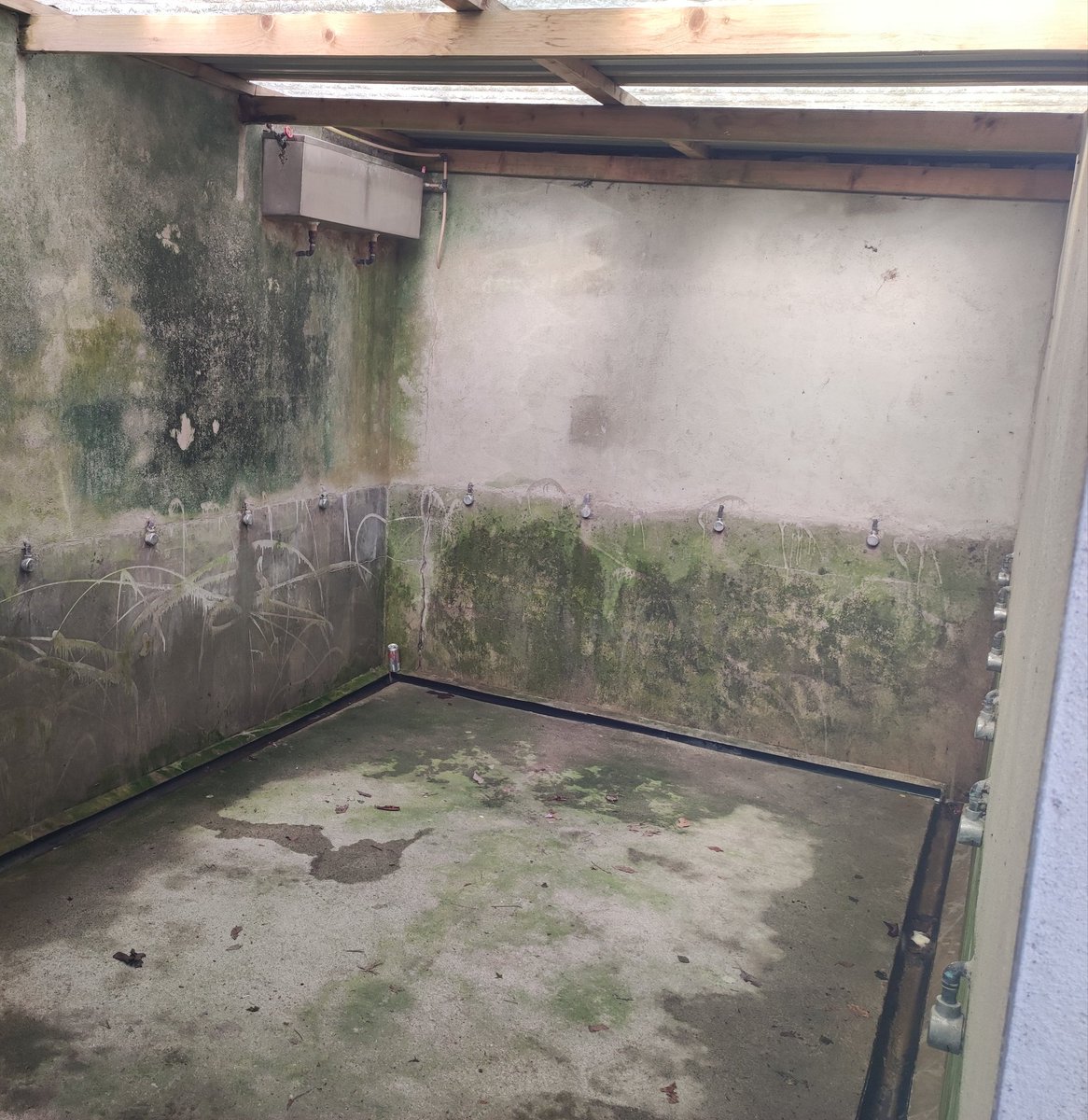 KildareFan2025's tweet photo. The Kildare v Tyrone under 20s ALL IRELAND FINAL has been fixed for Carrick-on-Shannon this Saturday at 5pm. A reminder that this is what is waiting for you if you need to use the toilets on the terrace side. All.. Ireland.... Final.... https://t.co/AWmNanBiNh