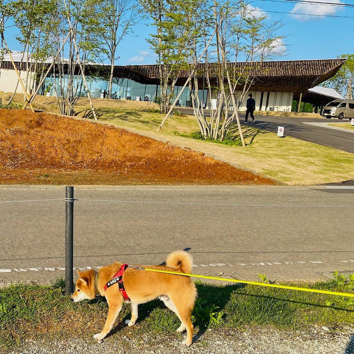shibainu_440's tweet photo. 今年の4月にできたばかりというスノーピークのスパ。キャンプ場から歩いて行けるところにあります。さすがにココは僕は入れないので建物を見るだけ。やっぱりキレイですね。
#スノーピーク #フィールドスイートスパ #snowpeak #fieldsuitespa #柴犬 #shibainu https://t.co/Wf2MsAI1Pn
