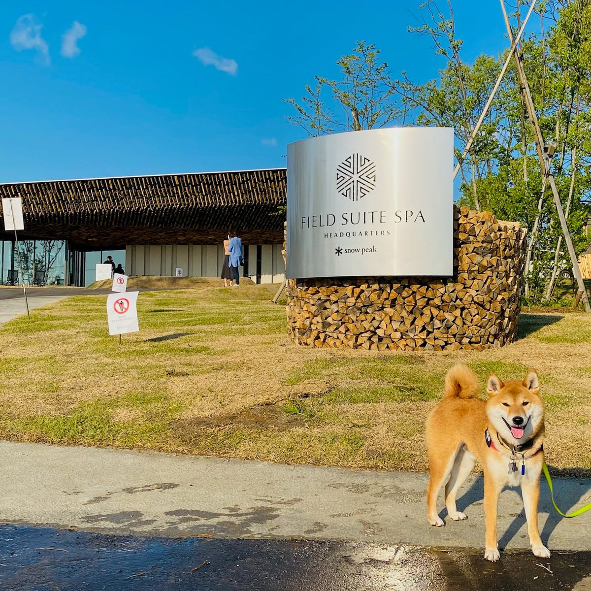 shibainu_440's tweet photo. 今年の4月にできたばかりというスノーピークのスパ。キャンプ場から歩いて行けるところにあります。さすがにココは僕は入れないので建物を見るだけ。やっぱりキレイですね。
#スノーピーク #フィールドスイートスパ #snowpeak #fieldsuitespa #柴犬 #shibainu https://t.co/Wf2MsAI1Pn