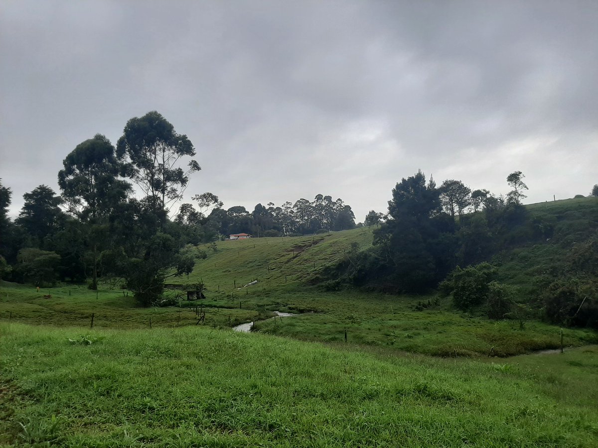 Feliz comienzo de semana, vamos con toda a trabajar para cumplir nuestros sueños, creer que son posibles,es suficiente para hacerlos realidad.