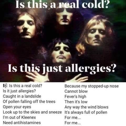 ScarecrowsAngel's tweet photo. @foxes_in_love This version of Bohemian Rhapsody reminds me of poor Blue. https://t.co/VkPl9RmWqR