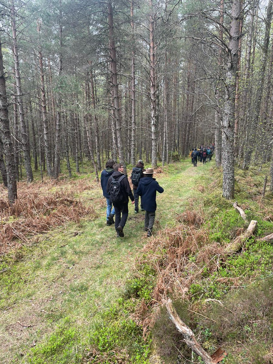 DrClaireHolt's tweet photo. Day 3 NSF Study Tour 2022. First year students went to visit the Black Woods of Rannoch. Thanks to Rob Coope and FLS ranger Emily for showing us around. @CumbriaUni @UoCNSF @ForestryLS https://t.co/ogMcBDrhRn
