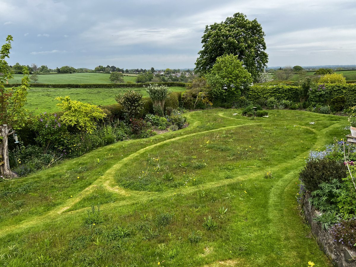 CoedYGo's tweet photo. Love #NoMowMay from @Love_plants
My lawn is now a whole new garden, buzzing away. 🐝🐝🐝
Over 50 types of #wildflower now established amongst the yellow rattle #meadowmaker https://t.co/YmrH29IBE7
