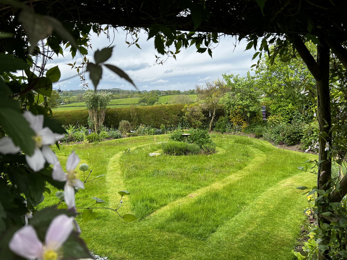 CoedYGo's tweet photo. Love #NoMowMay from @Love_plants
My lawn is now a whole new garden, buzzing away. 🐝🐝🐝
Over 50 types of #wildflower now established amongst the yellow rattle #meadowmaker https://t.co/YmrH29IBE7