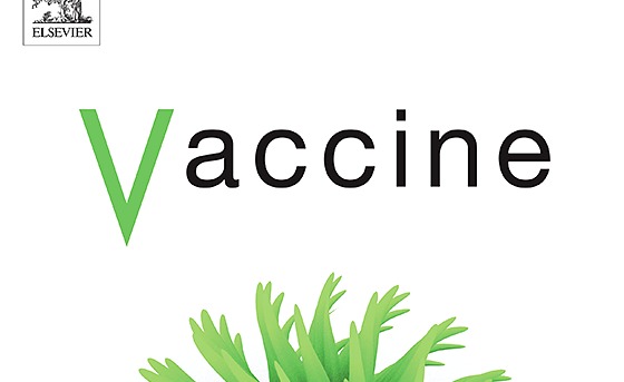 AImmunisation's tweet photo. COVID-19 has led to improvements in vaccination data, infrastructure and public perception.
#LifeCourseImmunisation is needed to prevent co-infection and address poor vaccination coverage rates globally.
Read @C_L_C_I's piece for @ElsevierConnect 👇
https://t.co/auyZG21qAG https://t.co/LkTIQff7Ei