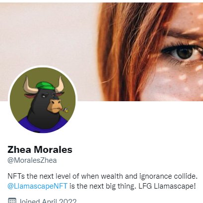MoralesZhea's tweet photo. @LlamascapeNFT Done! So happy to be part of this community https://t.co/OuWP7ypqgP