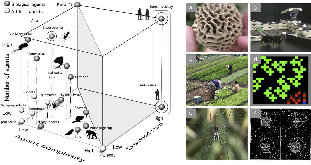 Is it possible to create A. I. in ways different from the solutions found by evolution? Are there artificial minds different from those we already know? Here's my new paper with @brigan_raman on AI, evolution and the roads not taken <a href="/IBE_Barcelona/">Institute of Evolutionary Biology (IBE)</a>  preprints.org/manuscript/202…