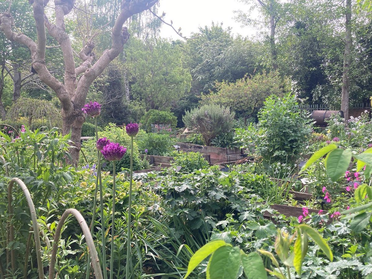 Twigs Gardens tweet media