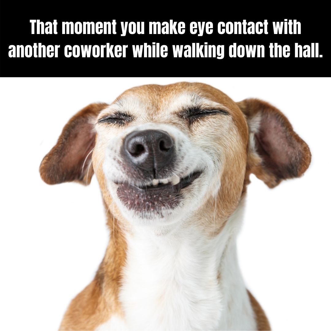 me when the first somg i play is a sad song | @Sadprince2 | Memes, image size:1080x1080