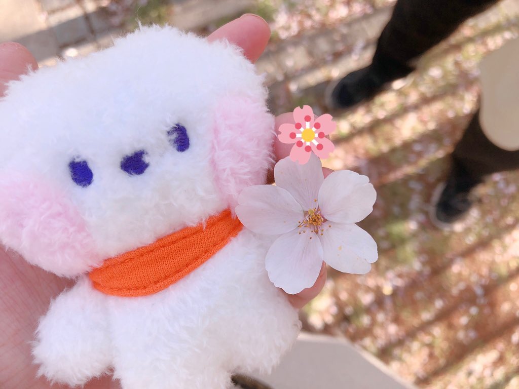 ___yr53mm___'s tweet photo. 🕊

　　　🐹♡🐱

Tokyo  /  25↑  /  新規

ひっそりマイペースにオタクやってました☺︎armyのお友達いないので、仲良くしてください！

反応してくださった方お迎えいきます૮ .  ̫ . ა

#ARMYさんと仲良くなりたい 
#ARMYと繋がりたい 
#大人ARMYと繋がりたい 
#大人ARMYさんと仲良くなりたい https://t.co/MF0NB0m1Ws