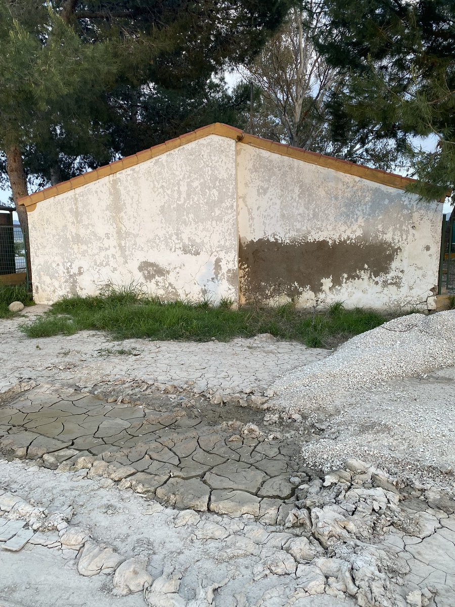 CLMLORCA's tweet photo. @CsRegionMurcia @MJoseRosOlivoCs VENTA CEFERINO, LORCA.🆘🆘PEDANIA OLVIDADA POR PARTE DEL AYUNTAMIENTO DE LORCA,(fotos aparece el colegio público sin MANTENIMIENTO ninguno)TODO DESTRUIDO por las INUNDACIONES CONTINUAS. TERCERMUNDISTA @AytoLorca @DiegoJMateos @LopezMirasF @morales_fmg @AytoMurcia @SerranoJAntonio https://t.co/1LbWBI01PD