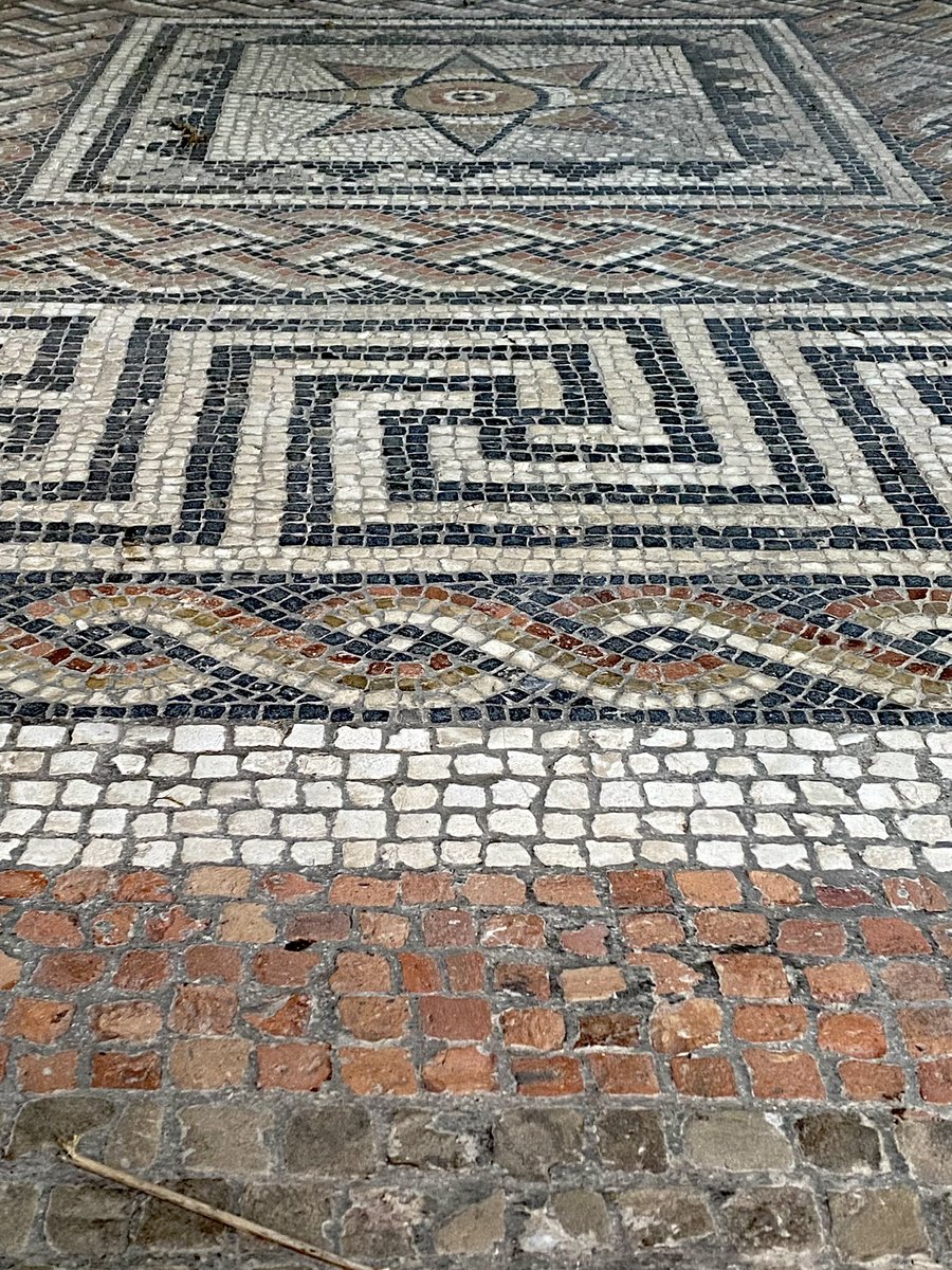 Thrilled to have finally seen the Roman mosaics <a href="/RomanAldborough/">Roman Aldborough</a> and simply love the big chunky tesserae in the border giving way to the smaller more delicate ones in the designs around the central star motif. Just glorious, as is the rest of the site and museum.
#MosaicMonday