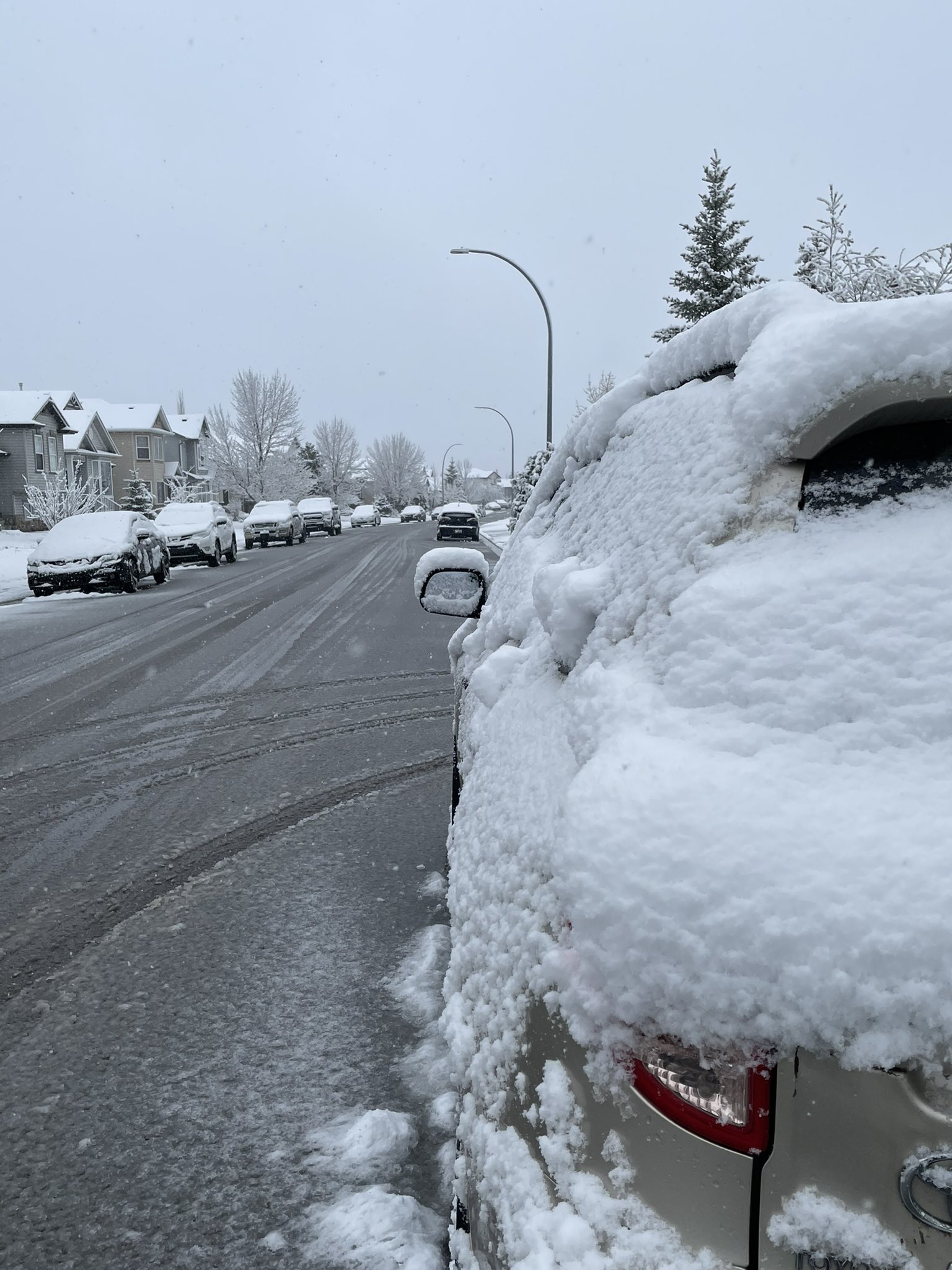 Weather calgary cheap today